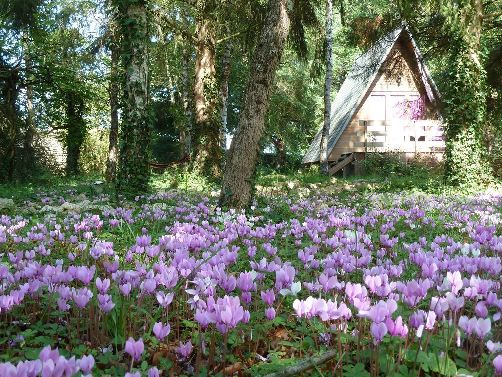 La Rossignolerie - Cabane Aux Oiseaux Chouzy-sur-Cisse Exterior photo