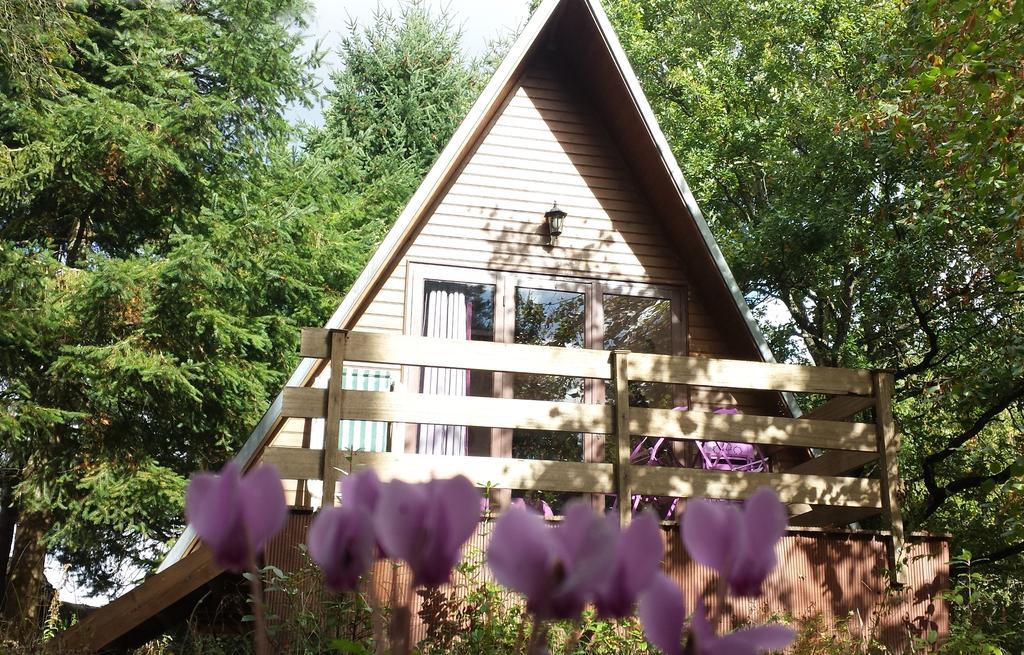 La Rossignolerie - Cabane Aux Oiseaux Chouzy-sur-Cisse Exterior photo